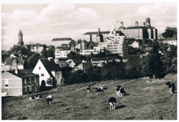 D-11809   BENSBERG : - Bergisch Gladbach