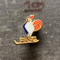 Badge Pin ZN009718 - Ice Skating Bobsleigh Luge Curling Hockey FFSG France Federation Association Union - Kunstschaatsen