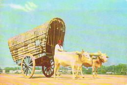 Asie >  Sri Lanka (Ceylon-Ceylan ) BULLOCK CART COLOMBO *PRIX FIXE - Sri Lanka (Ceilán)