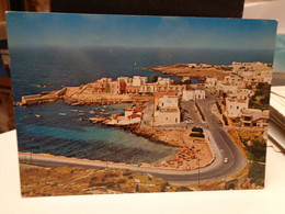 Cartolina  Santa Caterina Frazione Del Comune Di Nardò In Provincia Di Lecce Panorama - Lecce