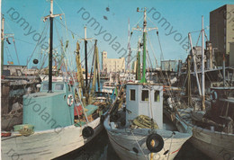 CARTOLINA    SENIGALLIA,ANCONA, MARCHE, VACANZE ,IL PORTO, SOLE,MARE,SOLE,ESTATE, BARCHE A VELA,SPIAGGIA, VIAGGIATA 1974 - Ancona