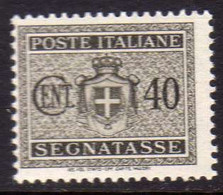 ITALIA REGNO ITALY KINGDOM 1945 LUOGOTENENZA SEGNATASSE POSTAGE DUE TASSE TAXE SENZA FILIGRANA UNWATERMARK CENT. 40c MNH - Strafport