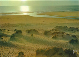 Cote D'opale-berck-couché De Soleil Sur La Plage Marée Basse--cpm - Nord-Pas-de-Calais