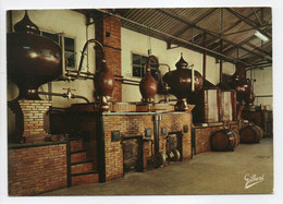 - CPM JARNAC (16) - Distillerie Charentaise 1973 - P. Giraud - Editions GILBERT 911 - - Jarnac