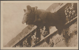 Pig With Bagpipes, Melrose Abbey, C.1920 - HM Office Of Works RP Postcard - Roxburghshire