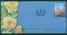 Nations Unies New York  2006 - Poste Aérienne. Entier Postal 75 Centimes - Poste Aérienne