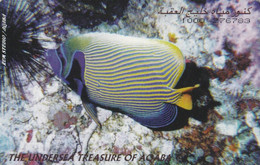 Jordan, JO-ALO-0012A, The Undersea Treasures Of Aqaba, Fish, 2 Scans.  Issued 02/98 - Giordania