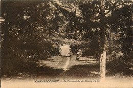 Champtoceaux * La Promenade Du Champ Pallu - Champtoceaux