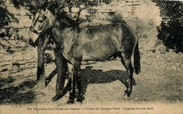 Houilles Carrières Sur Seine * Ferme Du Risque Tout * " Guguse " Et Son Ami - Houilles