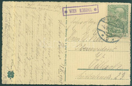 1915 Képeslap Fiók-posta Bélyegzéssel "WIEN KOBENZL" - Altri & Non Classificati