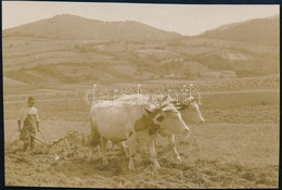 Cca 1936 Kinszki Imre (1901-1945) Budapesti Fotóművész Hagyatékából, Jelzés Nélküli Vintage Fotó, A Szerző által Felirat - Other & Unclassified