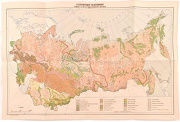 A Szovjetunió Talajtérképe, Vilenszkij D.G. 1950. évi Térképét átdolgozta A. Nagy Miklós, Kiadja Az Offset-Nyomda Budape - Altri & Non Classificati
