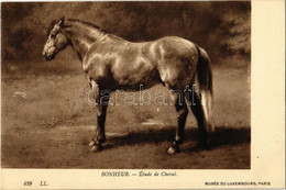 ** T2 Pferdestudie / Study Of A Horse / Etude De Cheval. Musée Du Luxembourg, Paris. L.L. 429. S: Rosa Bonheur - Unclassified