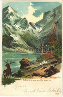 T2/T3 1902 Gruss Aus Den Bergen / Greetings From The Mountains. Litho (EK) - Non Classés