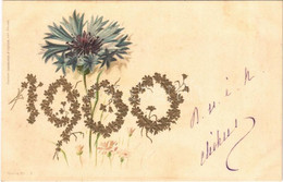 * T2 1900 New Year Greeting. Wezel & Naumann Emb. Floral, Litho - Non Classés