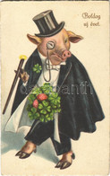 T2/T3 Boldog új évet! Malac Cilinderben / New Year Greeting. Pig In Top Hat. WSSB 9696. Litho (EK) - Non Classés