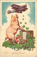 ** T3 Boldog újévet! Malac Repülőgéppel / New Year Greeting, Pig With Aircraft (Rb) - Non Classés