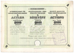 1923. "Mezőgazdasági Ipar-Részvénytársaság" 5 Részvénye Egyben, 10.000K-ról, Három Nyelven, Szárazpecséttel, Bélyegzésse - Non Classificati