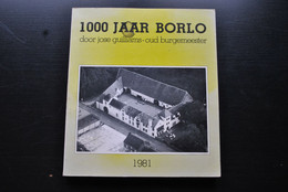 1000 Jaar BORLO Door Jose Guilliams Oud Burgemeester Gingelom Limburg Duizend Gesigneerd Molen Brouwerij Families Rampen - Geschiedenis