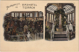CPA AK Badhotel TEINACH Trinkhalle LITHO GERMANY (804193) - Bad Teinach