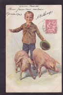 CPA Cochon Pig Circulé - Cochons