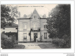 CPA 88 Bulgneville Le Chateau De La Vigne - Bulgneville