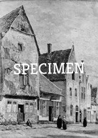 Stedelijk Museum Schilderij F. Van Den Hove 1892 @ Diest - Diest