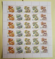 Russia 2003 Sheet Twin Mushrooms Plants Plant Mushroom Nature Flora Fungi Stamps MNH Michel 1108-1112 - Fogli Completi