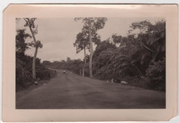 Photo Originale Haut Sénégal NIGER MALI SOUDAN Français 1933 Route En Brousse - Afrique