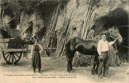 Chateau Du Loir * Ferme Dans Le Roc * Troglodytes * Scène Agricole Agriculture - Chateau Du Loir