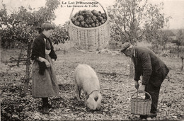 Le Lot Pittoresque N°2 * Les Gaveurs De Truffes * Truffe Cochon Pig - Andere & Zonder Classificatie