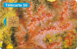 TÉLÉCARTE PHONECARD MONACO XX EME ANNIVERSAIRE ASSOCIATION PROTECTION NATURE 50 UNITÉS  UTILISÉE PLANCTON - Monaco