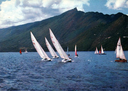 Sports Voile: Régates à Voiles Sur Le Lac Du Bourget Et La Dent Du Chat, Quillards Star - Carte Télé N° 529 - Zeilen