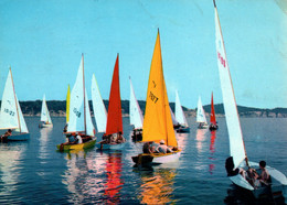 Sports Voile: Bandol (Côte D'Azur) Vue Générale, Départ De Régates, Dériveurs Vaurien - Editions Aris - Vela