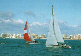 Sports Voile: La Grande Motte: Régates, Voiliers De Croisière - Editions De La Palette - Carte N° 34280 - Sailing