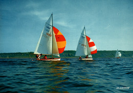 Sports Voile: Toutes Voiles Dehors, Régate De Dériveurs 470 - Editions La Cigogne - Carte N° 130 Non Circulée - Segeln