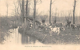 Montainville       78          Prairie Du Moulin          Voir Scan) - Other & Unclassified