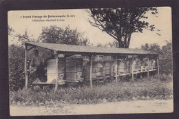 CPA [76] Seine Maritime Quincampoix Apiculture Miel Abeilles écrite Voir Dos - Andere & Zonder Classificatie