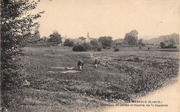 Les Mesnuls       78      Hameau Du Jardin Et Source De La Guyonne      (voir Scan) - Autres & Non Classés