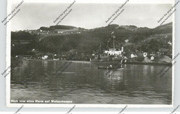 CH 9428 WALZENHAUSEN AA, Blick Vom Alten Rhein, Personenschiff, 1961 - Walzenhausen