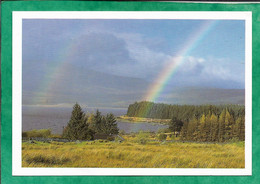 Clatteringshaws Loch Galloway Forest Park 2scans 03-06-1995 Arc-en-ciel Rainbow - Dumfriesshire