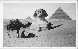 GIZEH (Egypte) Carte Photo Grand Sphinx Et Pyramides - Gizeh