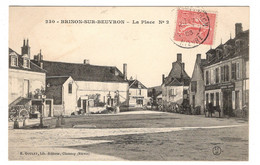 58 NIEVRE - BRINON SUR BEUVRON La Place N°2 - Brinon Sur Beuvron