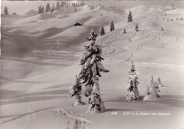 3328 - Österreich - Vorarlberg , Lech Am Arlberg , Abfahrt Von Oberlech , Winterlandschaft , Winter - Gelaufen 1962 - Lech