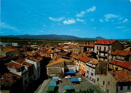 Fréjus * Au Premier Plan Le Marché Des Primeurs * Dans Le Fond L'autoroute De L'estérel - Frejus