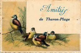 Tharon Plage * Amitiés De La Commune * Souvenir - Tharon-Plage