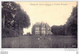 RUYEN / Kluisbergen - Kasteel - Château  De CALMONT Au Chevalier BEHAGHEL - Kluisbergen