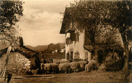 St Jean Pied De Port * Ferme Basque - Saint Jean Pied De Port