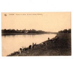 LANKLAAR - La Meuse Avec Des Vaches - En Face Hollande - Pêcherie - Hôtel Beau Séjour - Dilsen-Stokkem