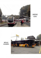 Delcampe - Brünig Hasliberg 2 Bild Postauto H  Limitierte Auflage! - Hasliberg